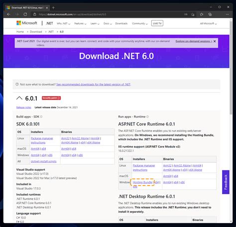 download dotnet 6 hosting bundle.